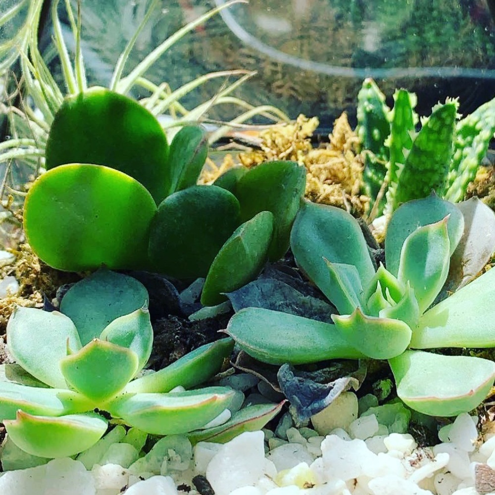 Meet your Posher, Sabrina